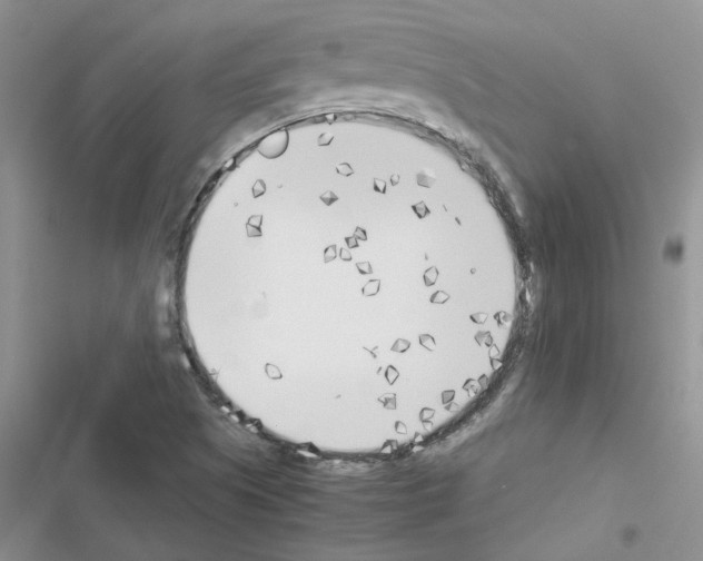 X0000116621505201001221329