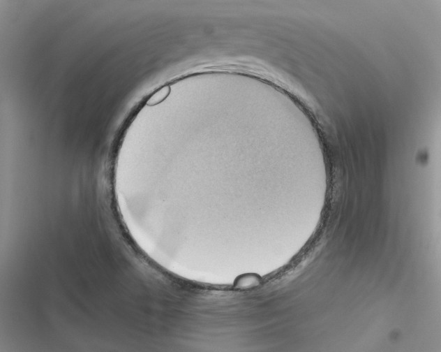 X0000116621506201001221329