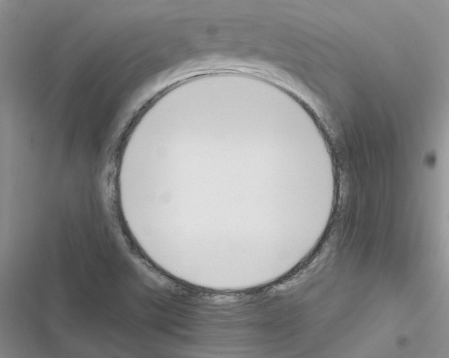 X0000116621507201001221329