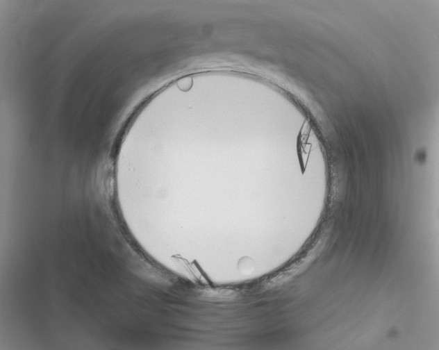 X0000116621509201001221329