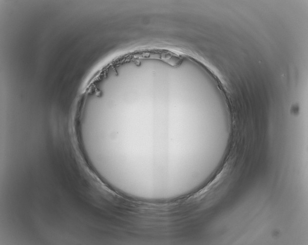 X0000116621510201001221329