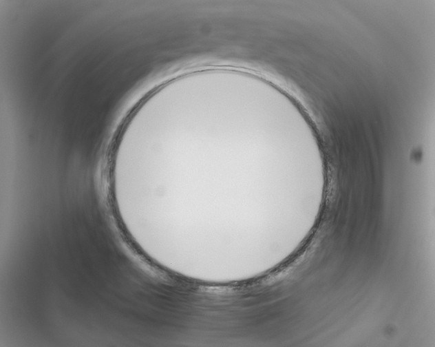 X0000116621511201001221329