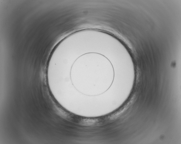 X0000116621513201001221329