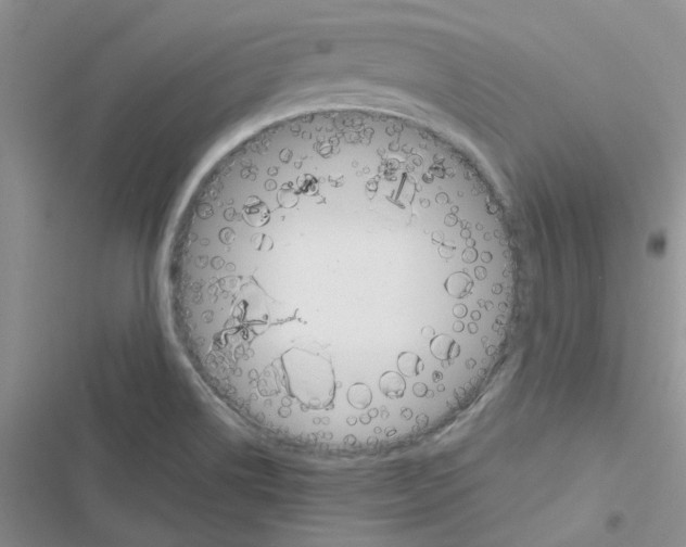 X0000116621514201001221329