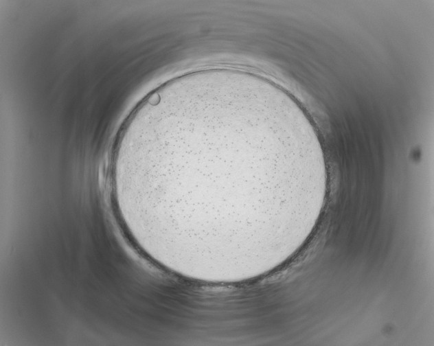 X0000116621515201001221329