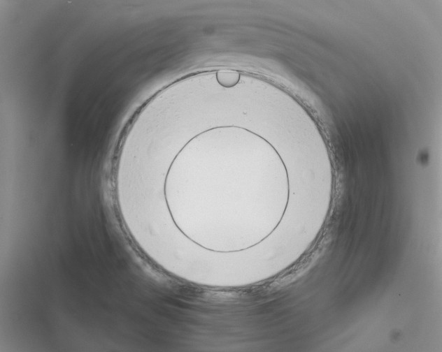 X0000116621517201001221329