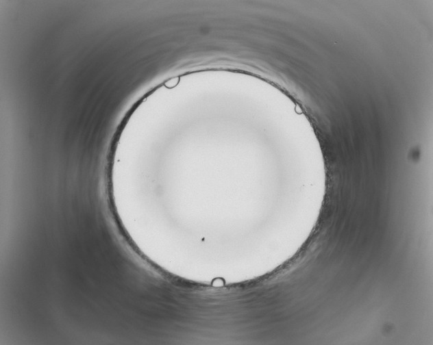 X0000116621518201001221329