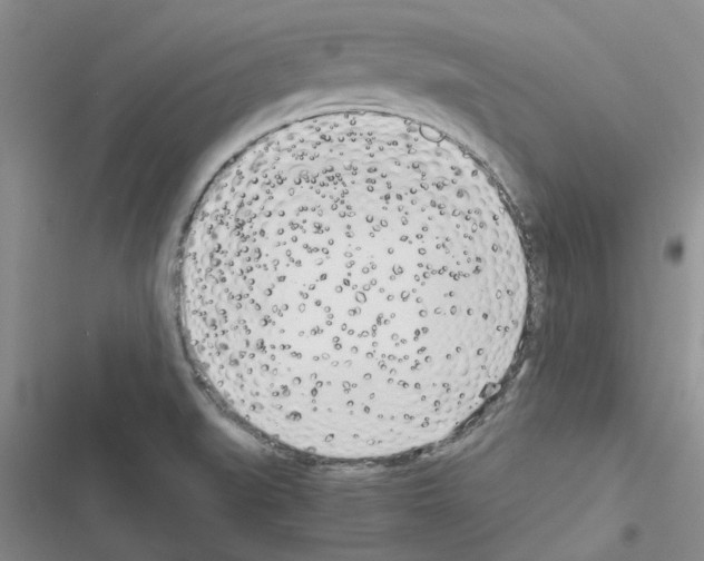 X0000116621519201001221329