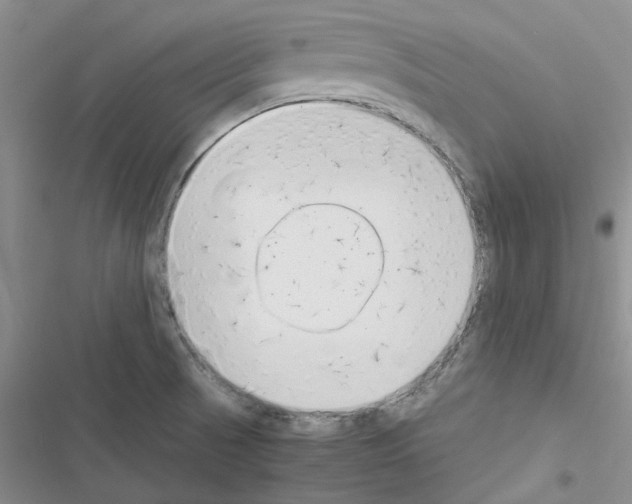 X0000116621521201001221329