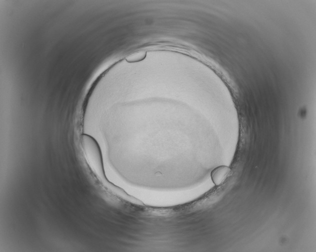 X0000116621522201001221329