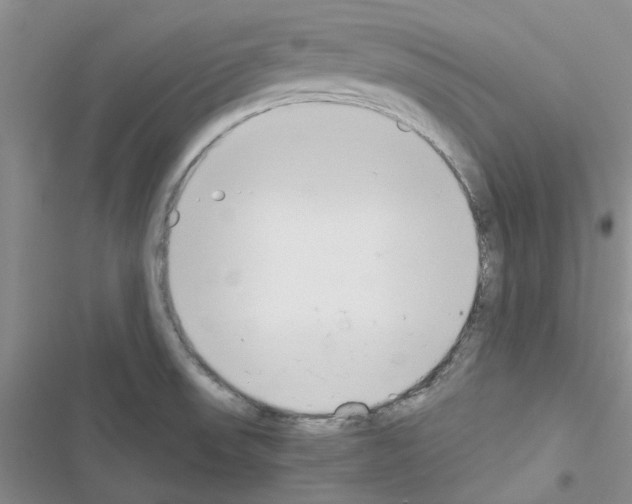 X0000116621523201001221329