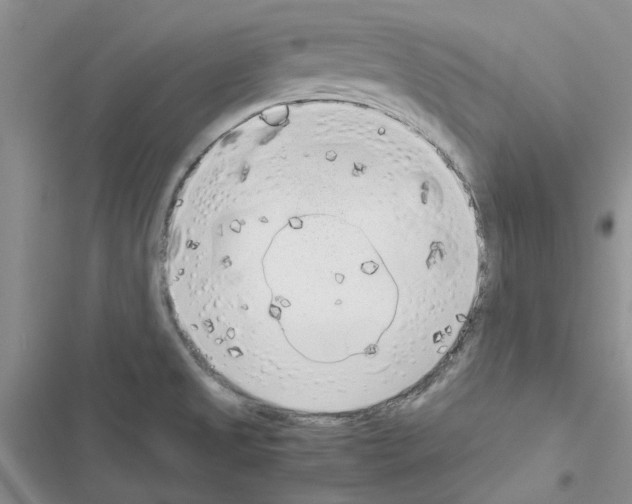 X0000116621525201001221329