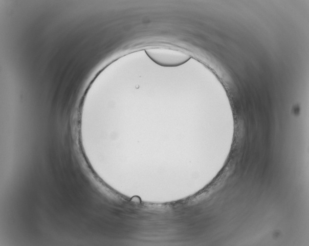 X0000116621526201001221329