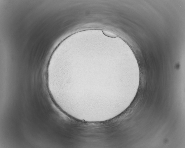 X0000116621527201001221329