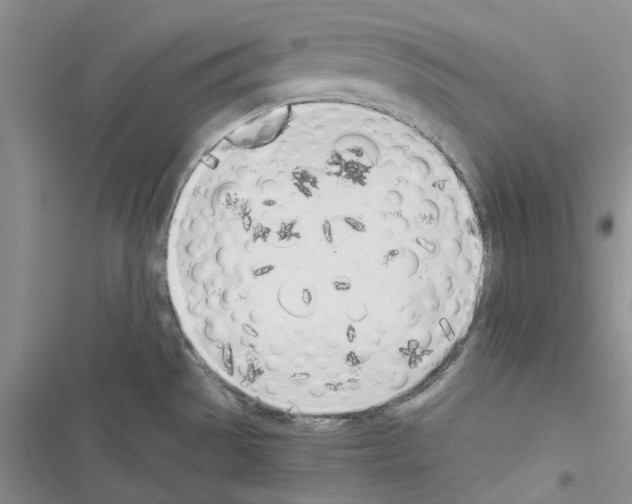 X0000116621529201001221329