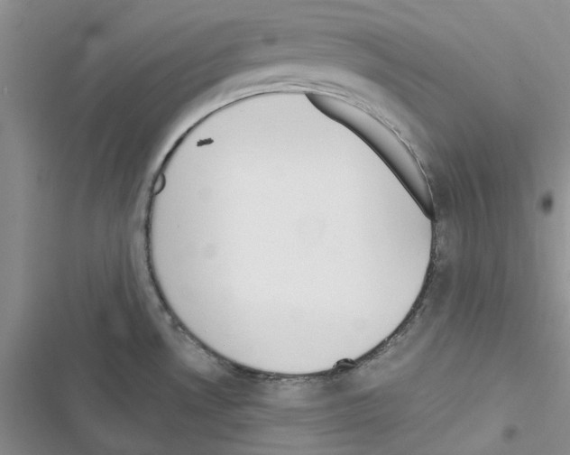 X0000116621530201001221329