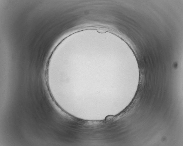 X0000116621531201001221329