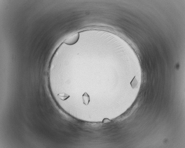 X0000116621533201001221329