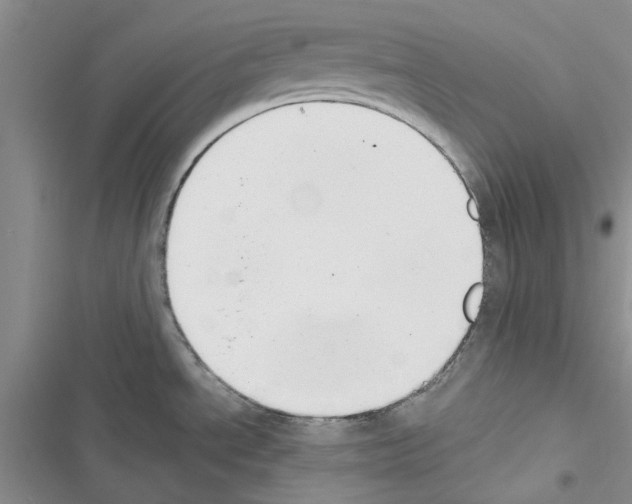 X0000116621534201001221329