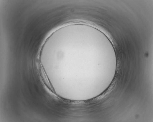 X0000116621535201001221329