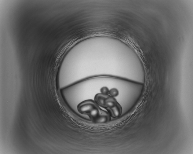 X0000116630001200912111010