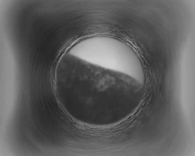 X0000116630002200912111010
