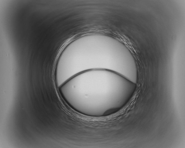 X0000116630003200912111010