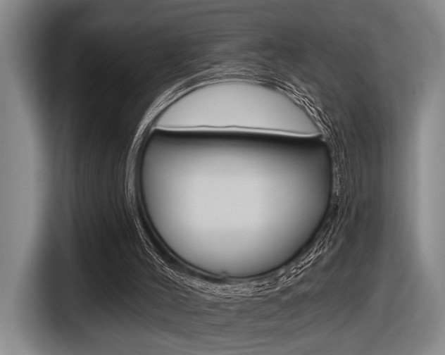 X0000116630004200912111010