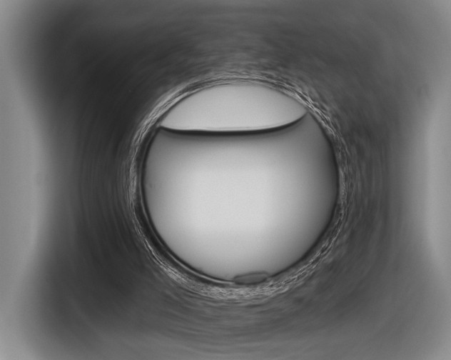 X0000116630005200912111010