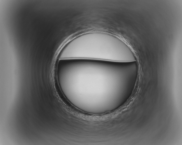 X0000116630007200912111010