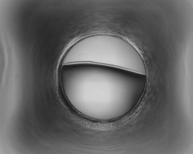 X0000116630008200912111010