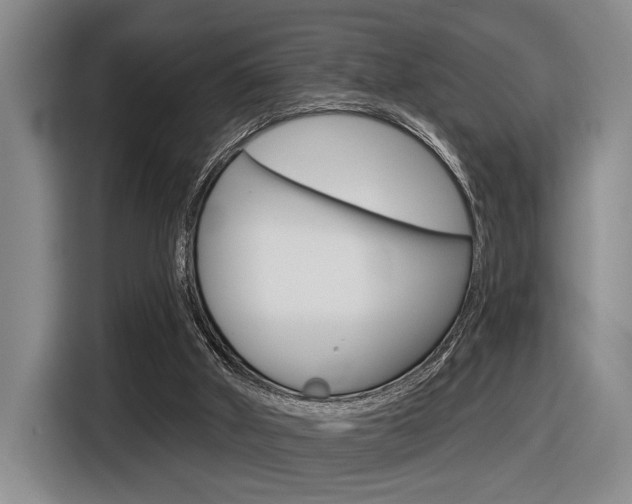 X0000116630010200912111010
