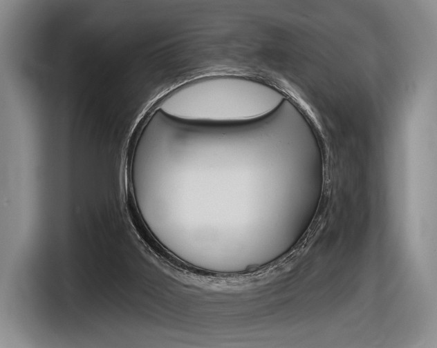X0000116630011200912111010