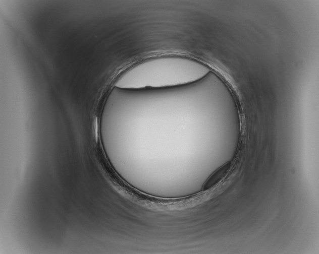 X0000116630013200912111010