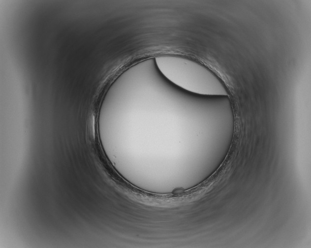 X0000116630014200912111010