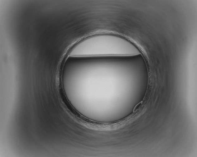 X0000116630015200912111010