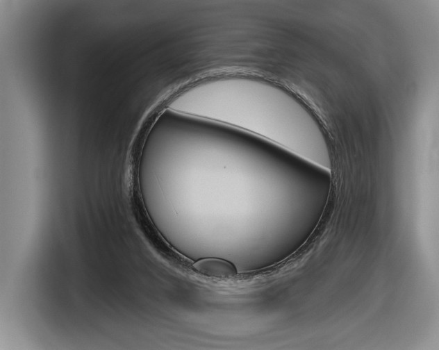 X0000116630016200912111010