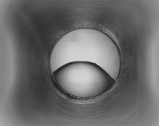 X0000116630017200912111010