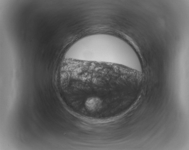 X0000116630018200912111010