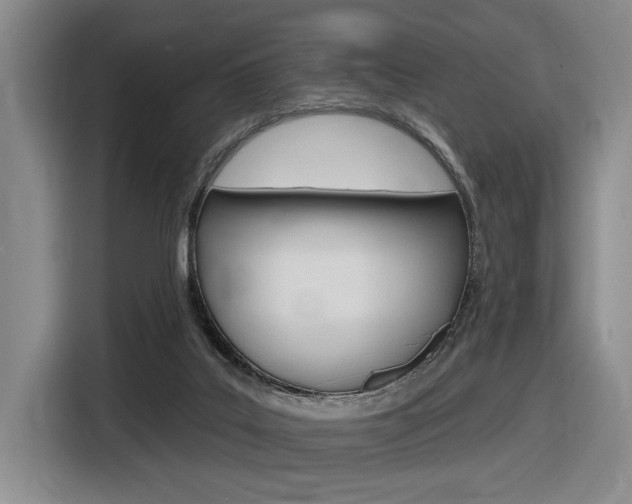 X0000116630019200912111010