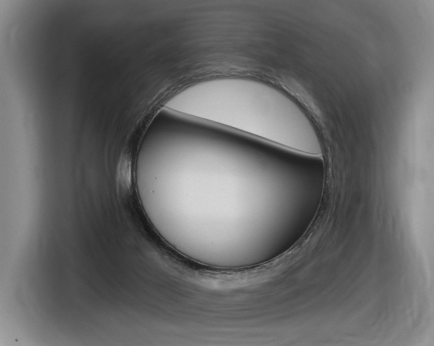 X0000116630021200912111010