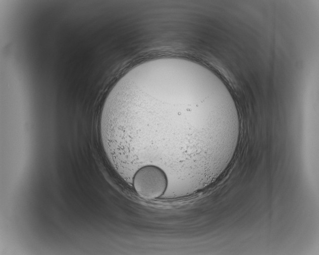 X0000116630022200912111010