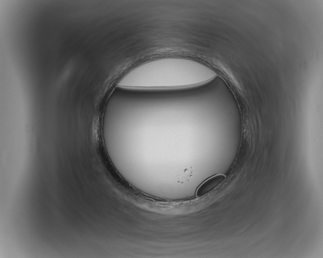 X0000116630023200912111010