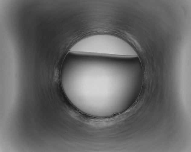 X0000116630025200912111010