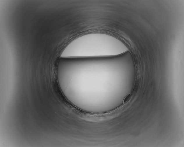 X0000116630029200912111010