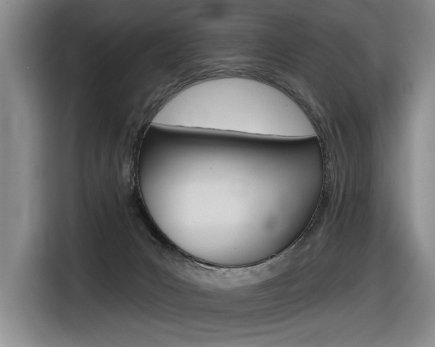 X0000116630031200912111010