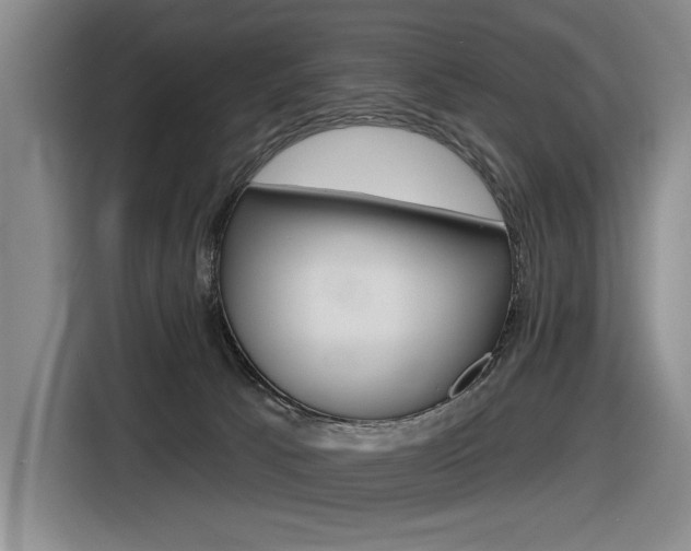 X0000116630033200912111010