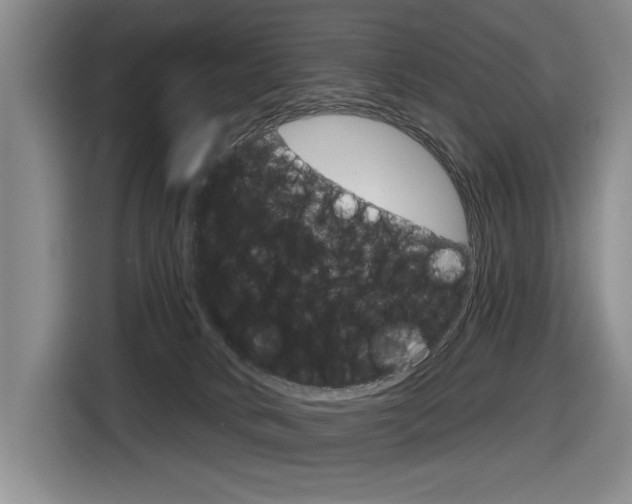 X0000116630034200912111010