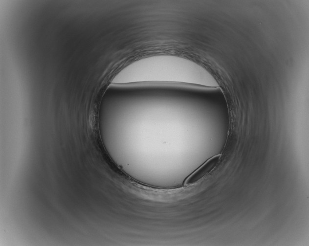 X0000116630035200912111010