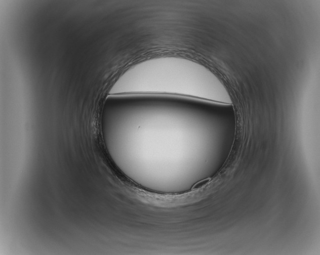 X0000116630039200912111009